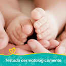 Kit com 12 Pacotes de  Lenços Umedecidos Pampers Aroma de Camomila de 48 Unidades