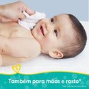 Kit com 12 Pacotes de  Lenços Umedecidos Pampers Aroma de Camomila de 48 Unidades