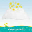 Kit com 12 Pacotes de  Lenços Umedecidos Pampers Aroma de Camomila de 48 Unidades